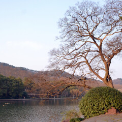 孤山的#旅图换旅费#