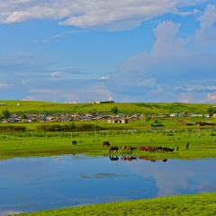 景点模块 
