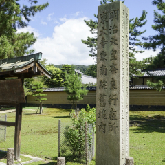 东大寺的#旅图换旅费# #殿堂庙宇# #建筑#