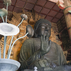 东大寺的#旅图换旅费# #殿堂庙宇# #建筑#