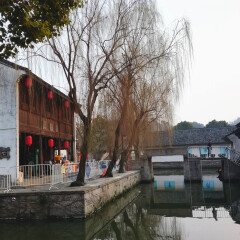 鲁镇的#旅图换旅费# #古镇#