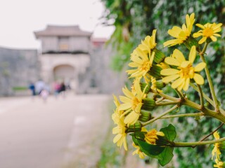 冲绳首里城