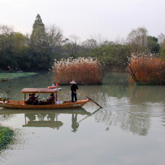 西溪湿地(东区)的#旅图换旅费# #旅拍# #自然风光#