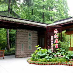 杭州曲院风荷景区的#旅图换旅费# #旅拍# #公园#