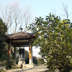 杭州玉皇山的#旅图换旅费# #旅拍# #名胜古迹#
