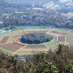 杭州玉皇山的#旅图换旅费# #旅拍# #名胜古迹#