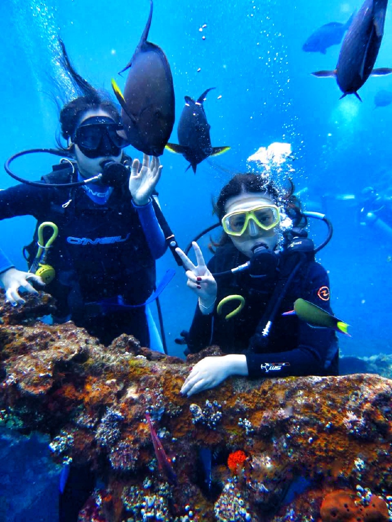 巴厘岛深潜之旅