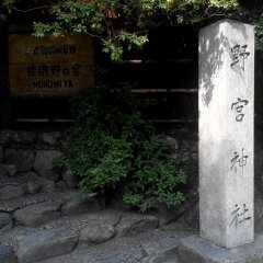 野宫神社的#旅图换旅费# #旅拍#