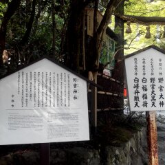 野宫神社的#旅图换旅费# #旅拍#