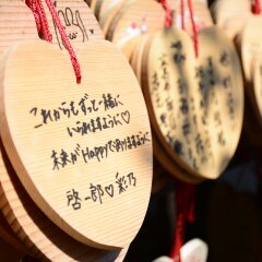 野宫神社的#旅图换旅费# #旅拍#