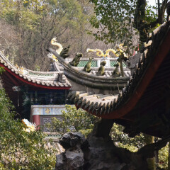 杭州玉皇山的#旅图换旅费#