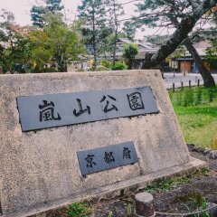 岚山公园的#旅图换旅费# #旅拍#