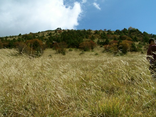 行走于山水之间,体味林泉之清秀——神龙架