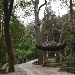 杭州云栖竹径的#旅图换旅费# #名胜古迹#