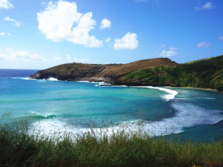 恐龙湾自然保护区