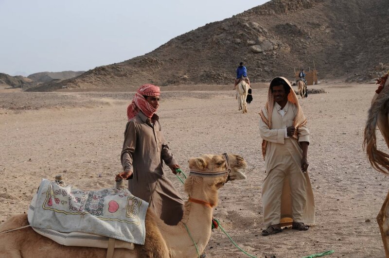        贝都因部落的男人
