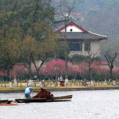 白堤的#旅图换旅费# #旅拍# #自然风光#