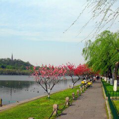 白堤的#旅图换旅费# #旅拍# #自然风光#