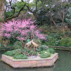 孤山的#旅图换旅费# #旅拍# #公园#