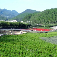 大木花谷的#旅图换旅费#
