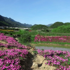 大木花谷的#旅图换旅费#