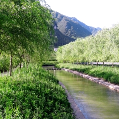 大木花谷的#旅图换旅费#