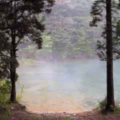 庐山的#旅图换旅费#