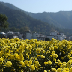 晓起的#旅图换旅费#