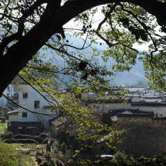 晓起的#旅图换旅费#