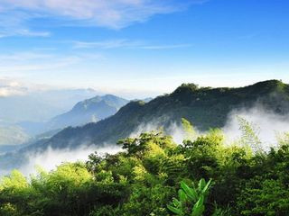 酒店享用中西式早餐,搭乘豪華大巴前往聞名遐邇的【阿里山風景區】(3