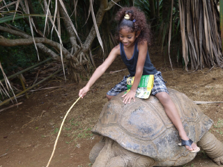 毛里求斯鳄鱼公园