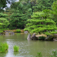 金阁寺的#旅图换旅费#