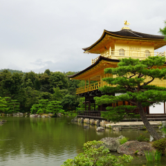 金阁寺的#旅图换旅费#