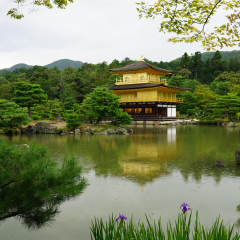 金阁寺的#旅图换旅费#