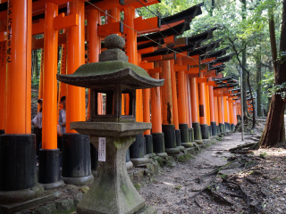 富士山旅游注意事项