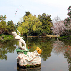 花港观鱼的#旅图换旅费# #旅拍# #公园#