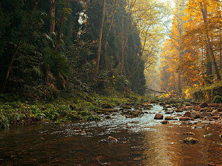 小溪自然保护区