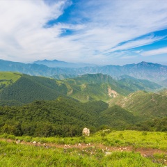草原天路