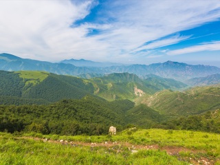 草原天路