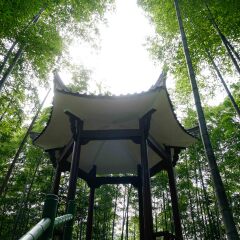 木坑竹海的#旅图换旅费#