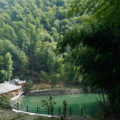 木坑竹海的#旅图换旅费#