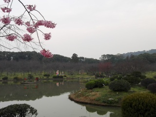 武汉东湖磨山景区