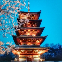 武汉东湖磨山景区的#旅图换旅费#
