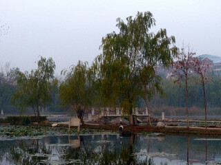 大连前关湿地公园