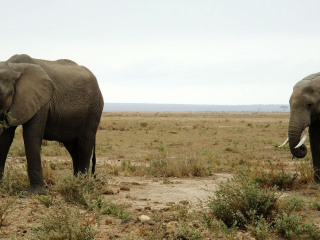 安博塞利国家公园