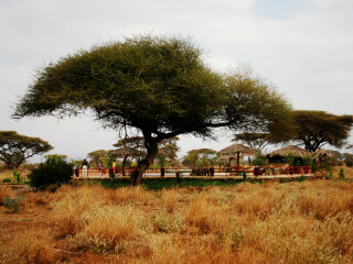 安博塞利国家公园