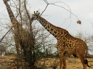 安博塞利国家公园
