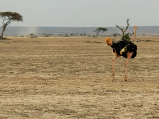 安博塞利国家公园