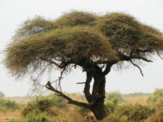 安博塞利国家公园