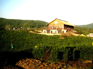 黄龙岘茶文化村